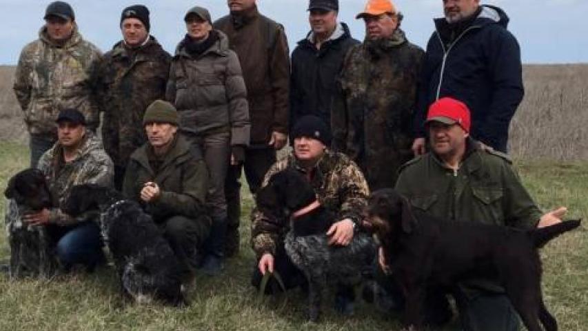 Підготовка молодих собак до ВВМ (VJP)